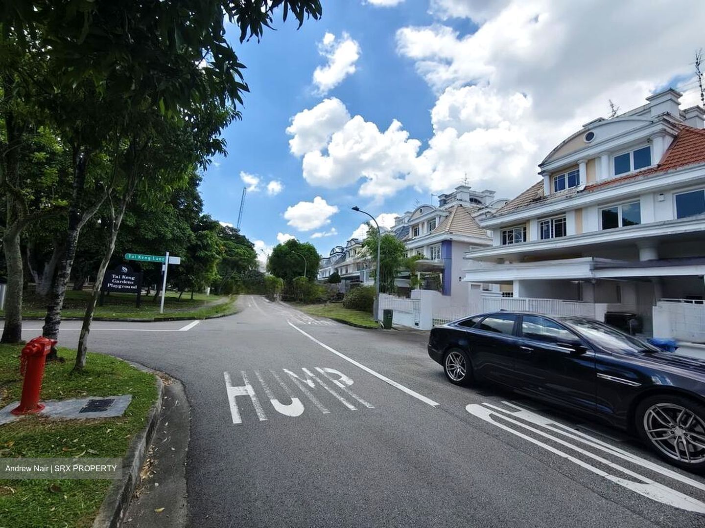 Tivoli Gardens (D19), Terrace #450448451